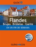 Flandes (eBook, ePUB)