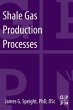 Shale Gas Production Processes - Bild 1