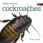 Cockroaches