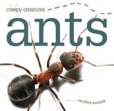 Ants