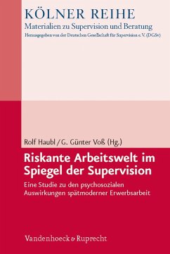 Riskante Arbeitswelt im Spiegel der Supervision (eBook, PDF)