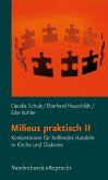 Milieus praktisch II (eBook, PDF)