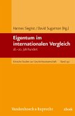 Eigentum im internationalen Vergleich (eBook, PDF)