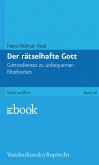 Der rätselhafte Gott (eBook, PDF)