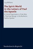 The Spirit World in the Letters of Paul the Apostle (eBook, PDF)
