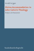 Divine Accommodation in John Calvin's Theology (eBook, PDF)