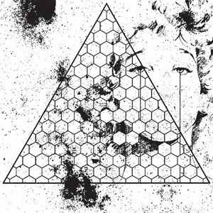 Betrayed In The Octagon