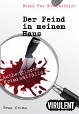 Der Feind in meinem Haus (eBook, ePUB)