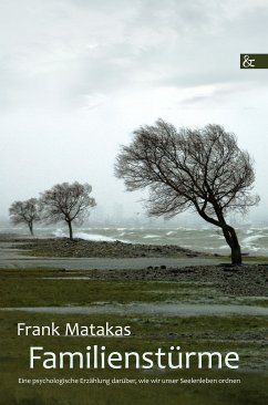 Familienstürme (eBook, PDF) - Matakas, Frank