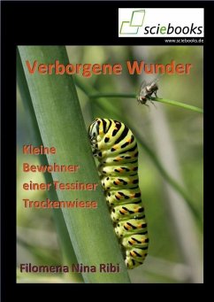 Cover Verborgene Wunder (eBook, ePUB)