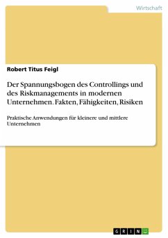Der Spannungsbogen des Controllings und des Riskmanagements in modernen Unternehmen: Fakten, Fähigkeiten, Risiken (eBook, PDF)