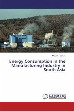 Energy Consumption in the Manufacturing Industry in South Asia - Zahan, Muslima