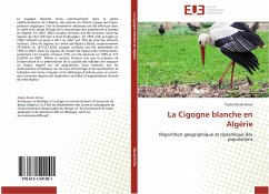 La Cigogne blanche en Algérie - Moali-Grine, Nadia