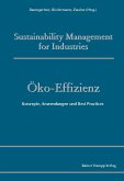 Öko-Effizienz (eBook, PDF)