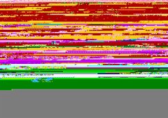 Cover Die Online-Werbemärkte Russland, Tschechien, Ungarn und Polen (VDZ) (eBook, PDF)