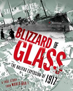 Blizzard of Glass - Walker, Sally M