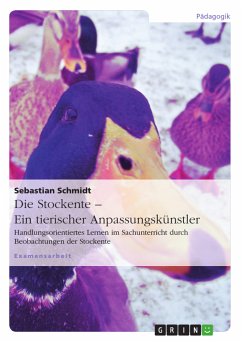 Die Stockente – ein tierischer Anpassungskünstler (eBook, PDF) - Schmidt, Sebastian