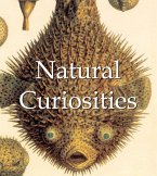 Natural Curiosities (eBook, PDF)