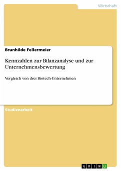 Kennzahlen zur Bilanzanalyse und zur Unternehmensbewertung (eBook, PDF) - Fellermeier, Brunhilde