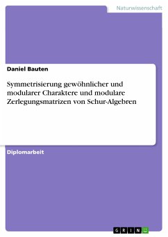 Symmetrisierung gewöhnlicher und modularer Charaktere und modulare Zerlegungsmatrizen von Schur-Algebren (eBook, PDF)