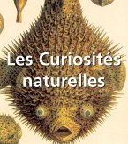Les Curiosités naturelles (eBook, PDF)