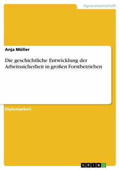 Die geschichtliche Entwicklung der Arbeitssicherheit in großen Forstbetrieben (eBook, PDF) - Müller, Anja