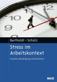 Stress im Arbeitskontext (eBook, PDF)