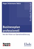 Businessplan professionell (eBook, PDF)