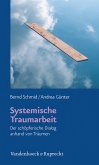 Systemische Traumarbeit (eBook, PDF)