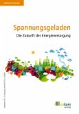 Spannungsgeladen (eBook, PDF)