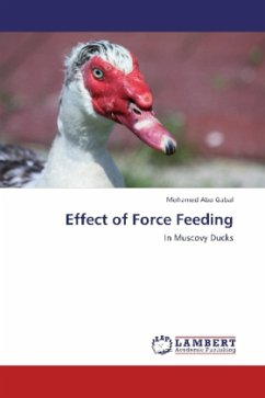 Effect of Force Feeding