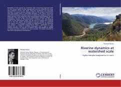 Riverine dynamics at watershed scale - Nones, Michael