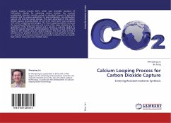 Calcium Looping Process for Carbon Dioxide Capture