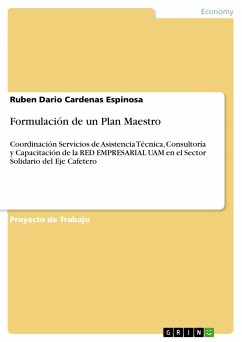 Formulación de un Plan Maestro