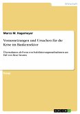 Voraussetzungen und Ursachen für die Krise im Bankensektor (eBook, PDF)