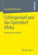 Schlingensief und das Operndorf Afrika - Bild 1