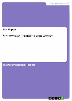 Stromwaage - Protokoll zum Versuch (eBook, PDF)