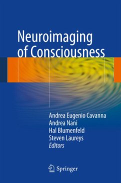 Neuroimaging of Consciousness