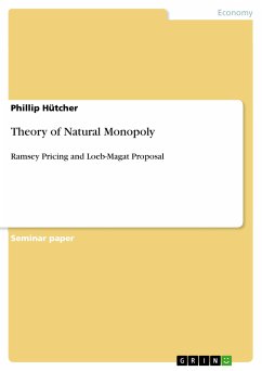 Theory of Natural Monopoly (eBook, PDF) - Hütcher, Phillip
