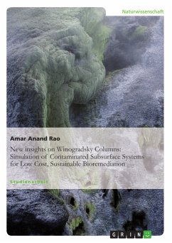 New insights on Winogradsky Columns: Simulation of Contaminated Subsurface Systems for Low Cost, Sustainable Bioremediation (eBook, PDF) - Amar Anand Rao, T.S.