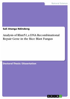 Analysis of Rhm51, a DNA Recombinational Repair Gene in the Rice Blast Fungus (eBook, PDF)