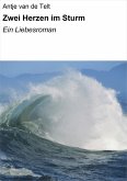 Zwei Herzen im Sturm (eBook, ePUB)