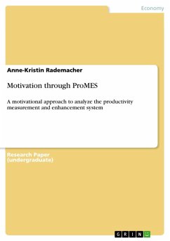 Motivation through ProMES (eBook, ePUB)