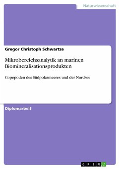 Mikrobereichsanalytik an marinen Biomineralisationsprodukten (eBook, PDF)