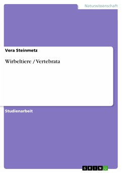 Wirbeltiere / Vertebrata (eBook, PDF)