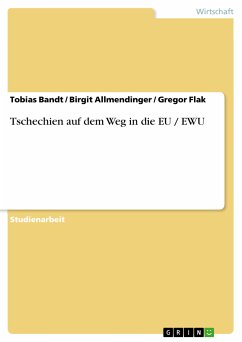 Tschechien auf dem Weg in die EU / EWU (eBook, PDF)
