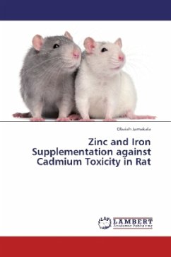 Zinc and Iron Supplementation against Cadmium Toxicity in Rat