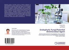 Endophytic Fungi:Potential Antimicrobial Agent