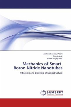 Mechanics of Smart Boron Nitride Nanotubes - Ghorbanpour Arani, Ali;Amir, Saeed;Haghparast, Elham