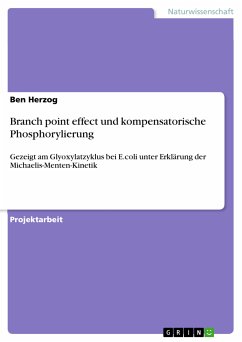 Branch point effect und kompensatorische Phosphorylierung (eBook, PDF) - Herzog, Ben